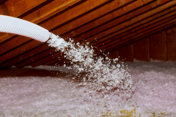 Best Eco-Friendly Insulation in Spackenkill, NY